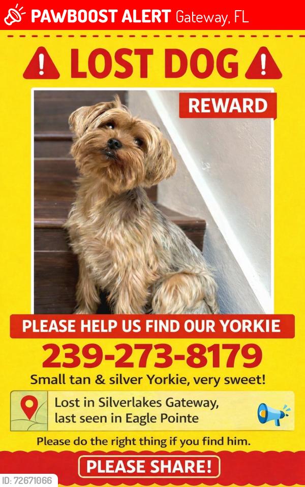 Lost Male Dog last seen LakelandCircle, Fort Myers, Gateway, FL 33913