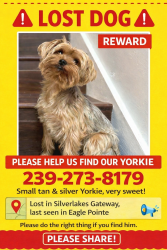 Lost Male Dog last seen LakelandCircle, Fort Myers, Gateway, FL 33913