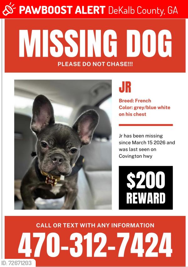 Lost Male Dog last seen Strathmoor manor Cir , DeKalb County, GA 30035