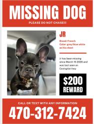 Lost Male Dog last seen Strathmoor manor Cir , DeKalb County, GA 30035