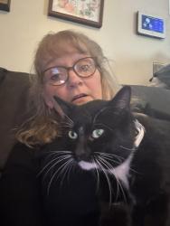 Lost Male Cat last seen Cherokee trail , Theodore, AL 36582
