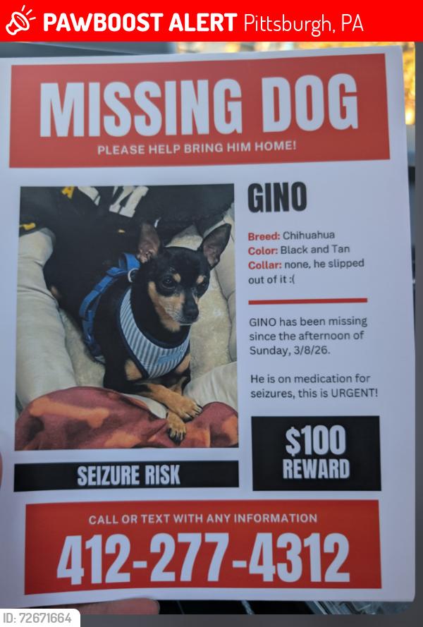 Lost Male Dog last seen Haberman st and Proxim way, Pittsburgh, PA 15210