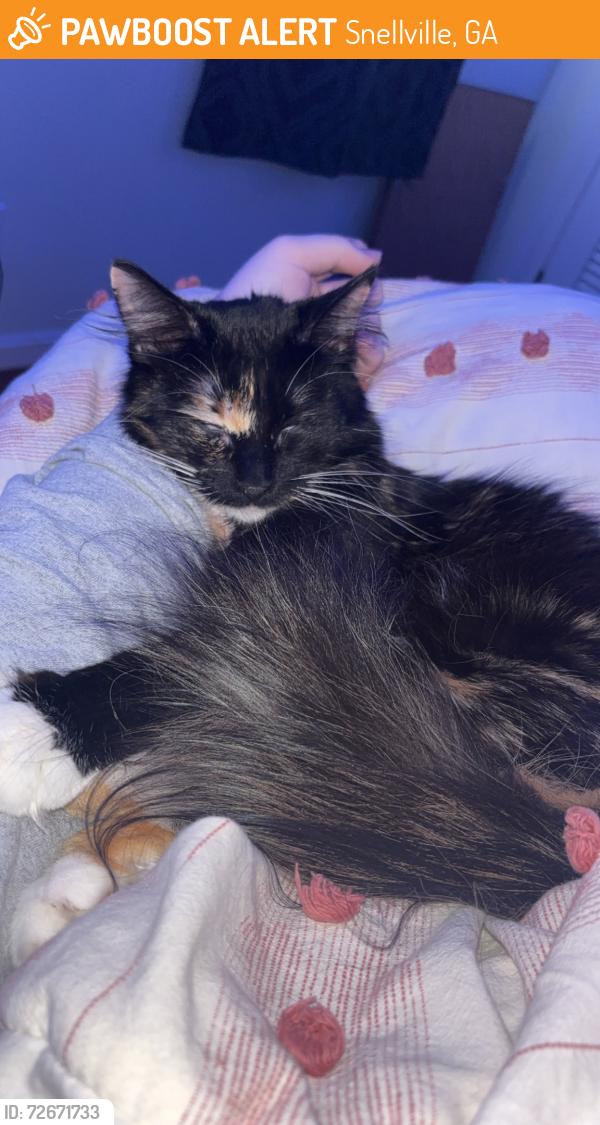 Found/Stray Female Cat last seen At a body shop , Snellville, GA 30078