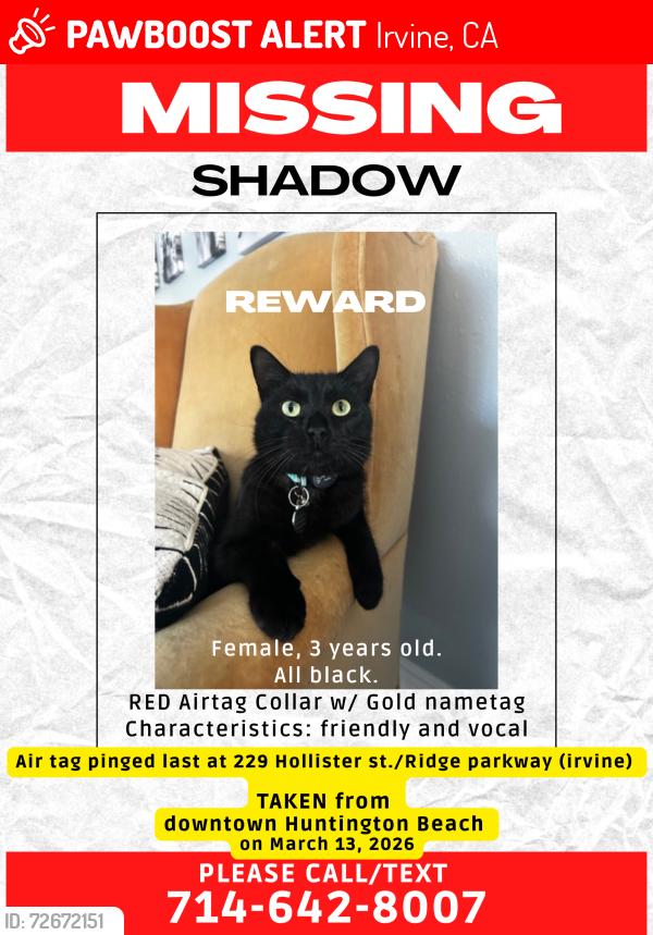 Lost Female Cat last seen ridge valley parkway/ great park, Irvine, CA 92618