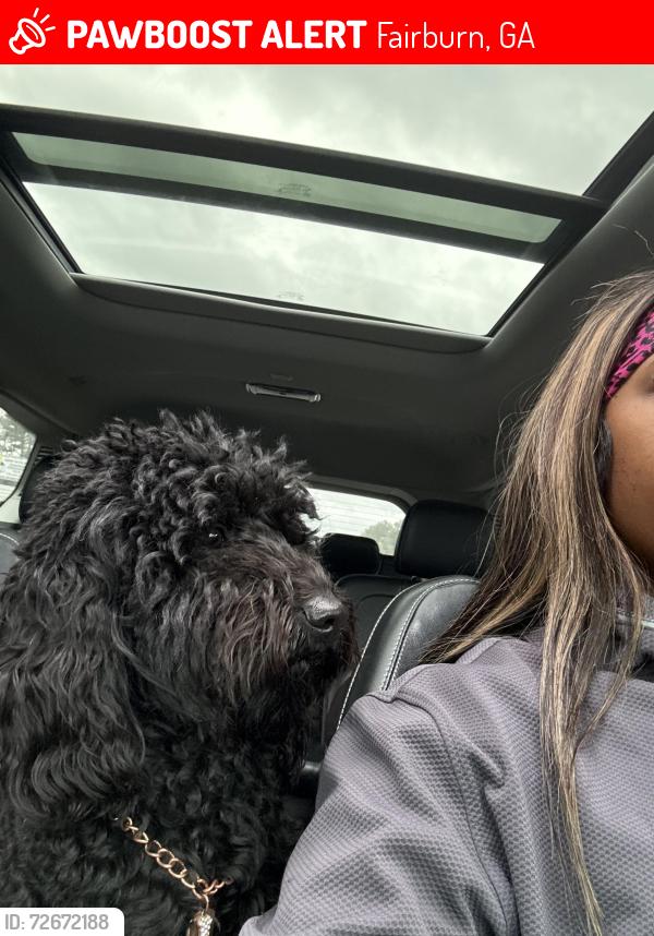 Lost Male Dog last seen Near Estonian dr 30213, Fairburn, GA 30213