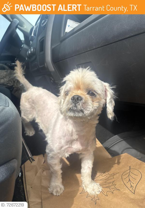 Found/Stray Male Dog last seen Elementary school, Tarrant County, TX 76123