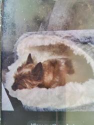 Lost Male Dog last seen Porter & Moon View, Las Cruces, NM 88012