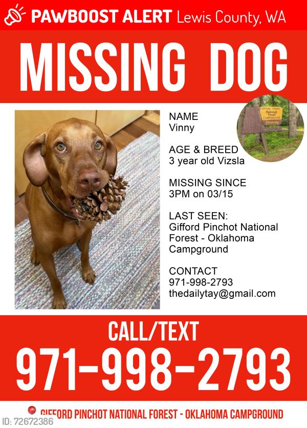 Lost Male Dog last seen NF-18, Cook, WA 98605, Lewis County, WA 98377