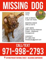 Lost Male Dog last seen NF-18, Cook, WA 98605, Lewis County, WA 98377