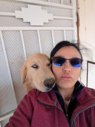 Lost Male Dog last seen El centro, Las Cruces, NM 88012