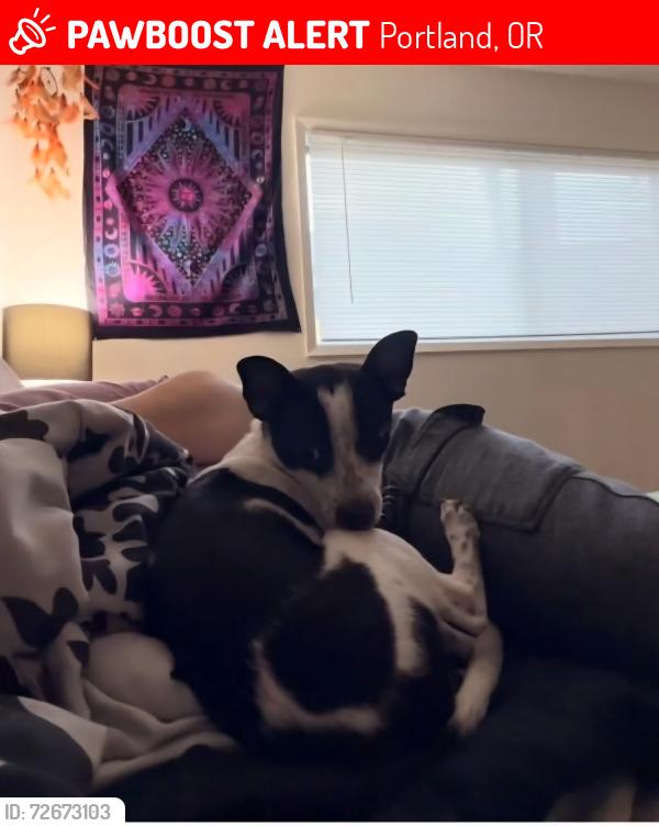 Lost Male Dog last seen Near SW Frewing St. Portland, OR 97223, Portland, OR 97223