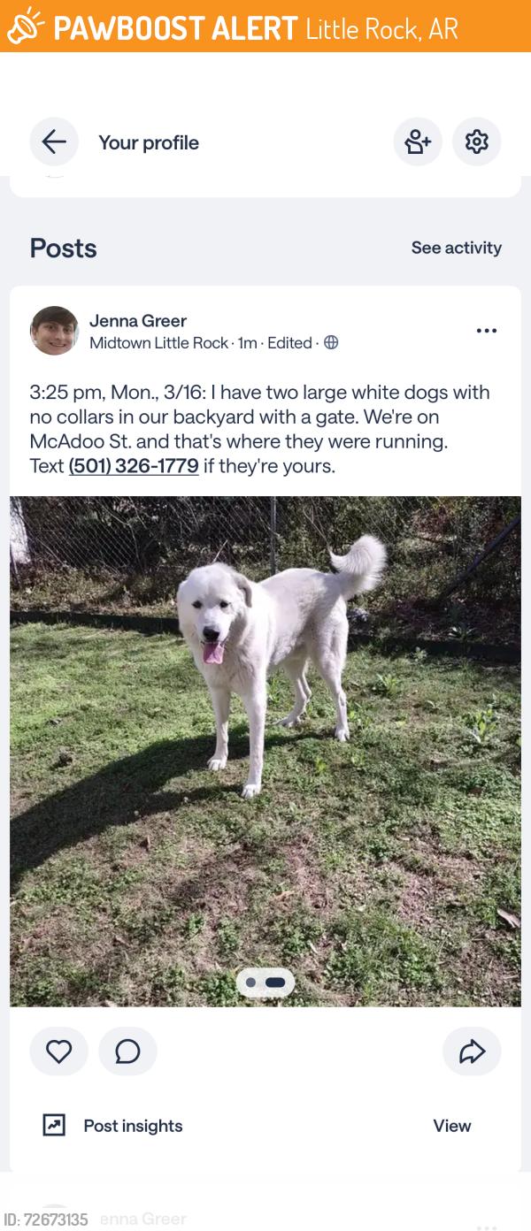 Found/Stray Unknown Dog last seen H & McAdoo St , Little Rock, AR 72205