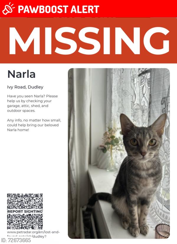 Lost Female Cat last seen Dudley , West Midlands, England DY1