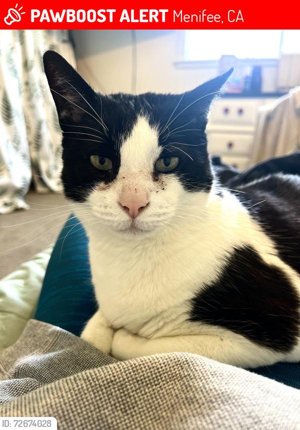 Lost Male Cat last seen Menifee Rd, Heritage Lake Rd, Menifee, CA 92585