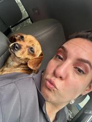 Lost Female Dog last seen Dooley , Grapevine, TX 76051