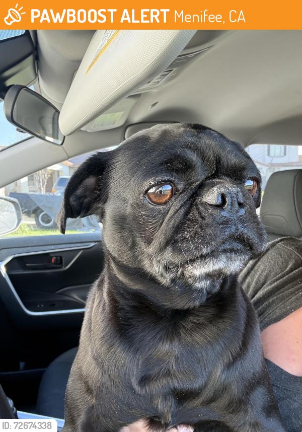 Found/Stray Female Dog last seen Menifee Lakes, Menifee, CA 92584