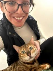 Lost Male Cat last seen 110th and Lake City Way, Seattle, WA 98125