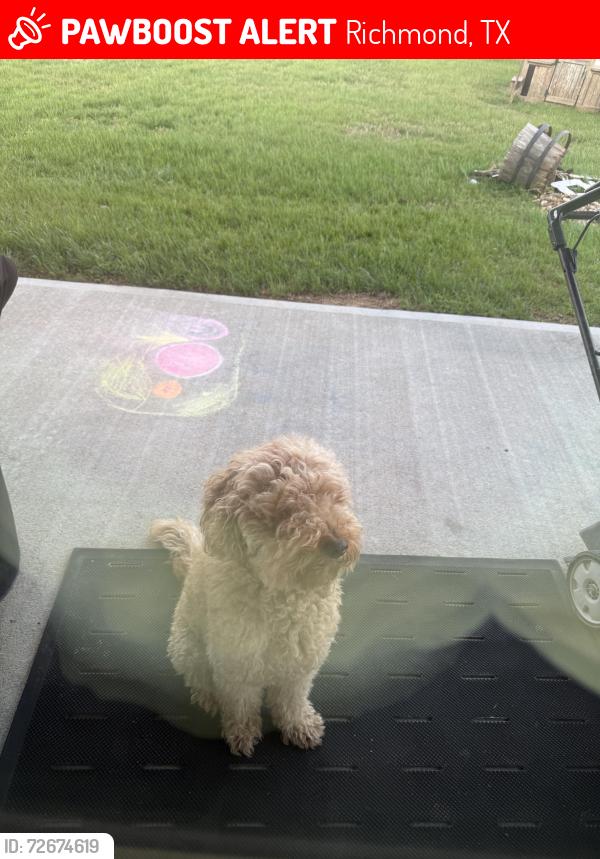 Lost Male Dog last seen Creekside ranch community , Richmond, TX 77406