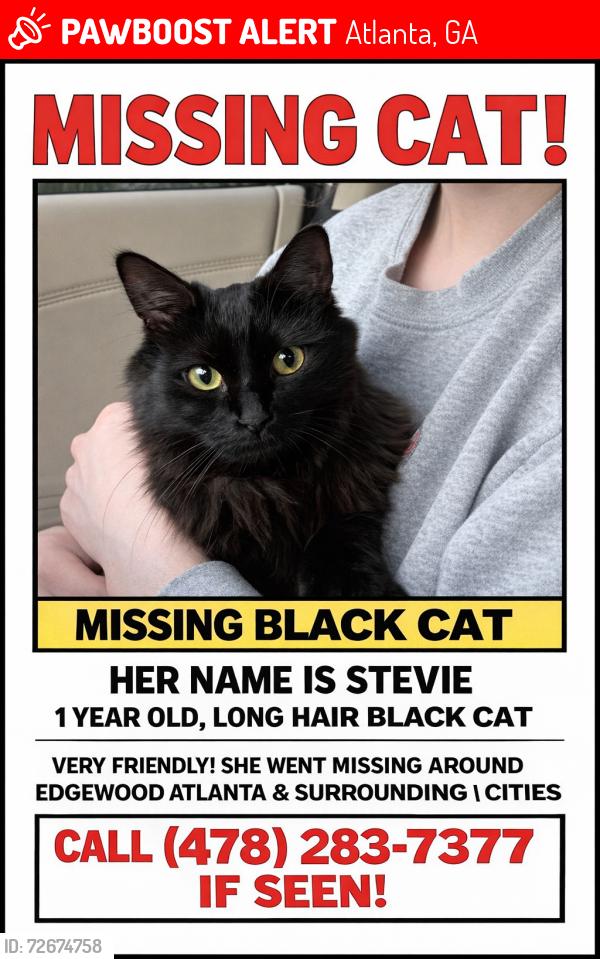 Lost Female Cat last seen Arizona Ave. NE / Roger’s St. (Pullman yards), Atlanta, GA 30307