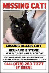 Lost Female Cat last seen Arizona Ave. NE / Roger’s St. (Pullman yards), Atlanta, GA 30307