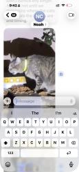 Found/Stray Unknown Cat last seen Palm springs Casino, Palm Springs, CA 92262