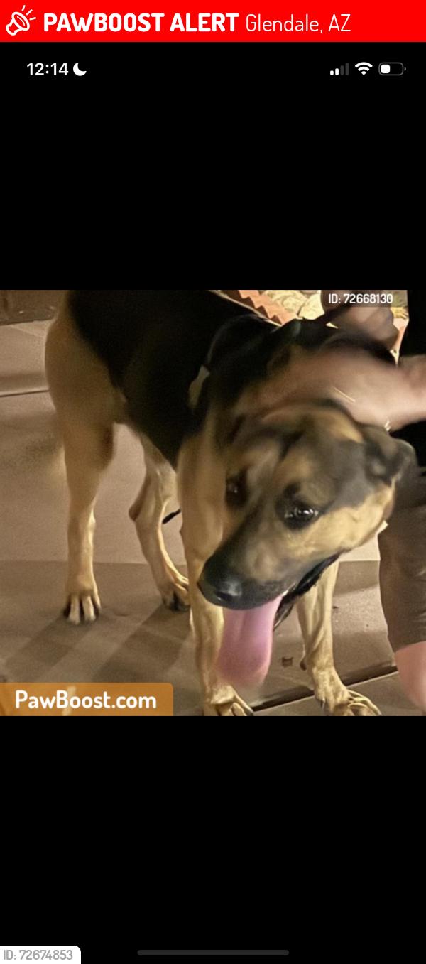 Lost Unknown Dog last seen Near , Glendale, AZ 85301
