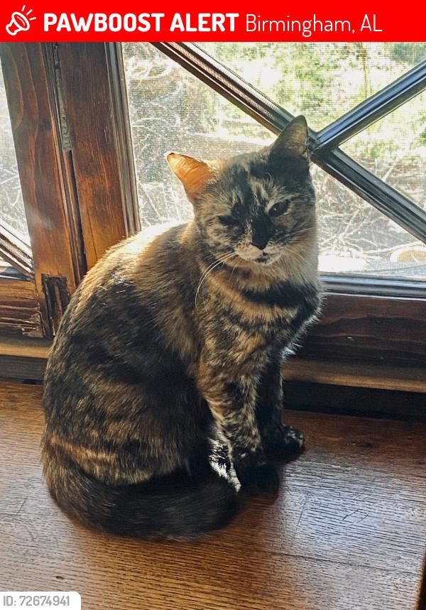 Lost Female Cat last seen Crestwood North , Birmingham, AL 35212