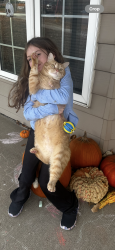 Lost Male Cat last seen Great Life Gym South Tennis LN, Sioux Falls, SD 57108