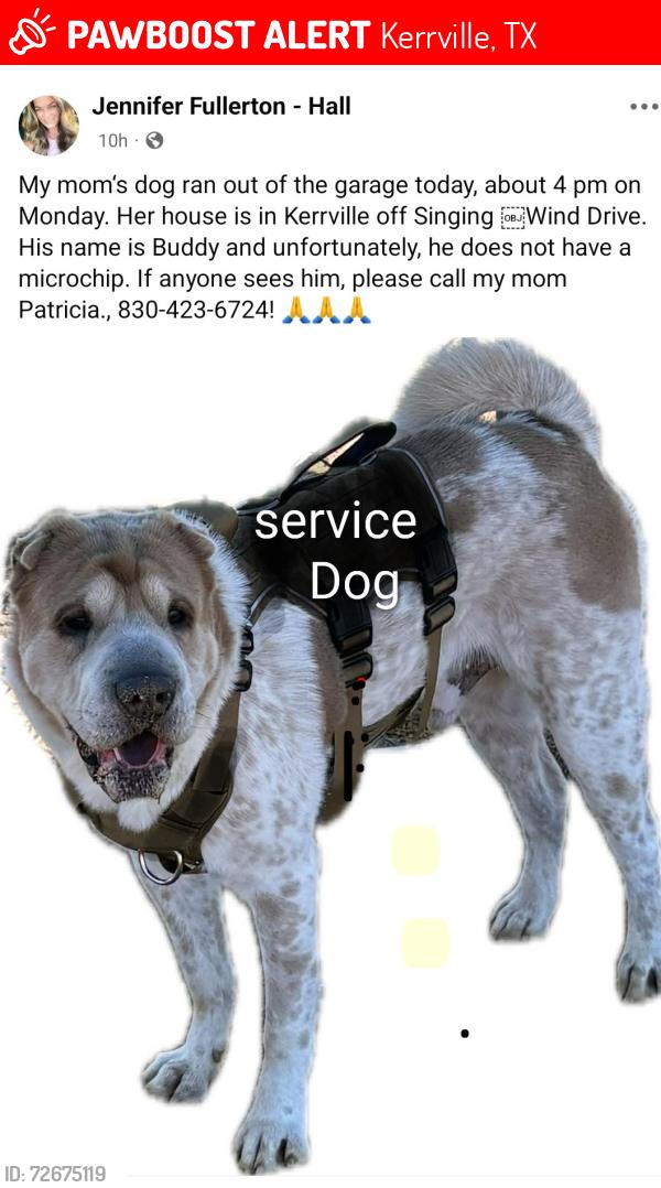 Lost Male Dog last seen Singing Wind Dr, Kerrville, TX 78028