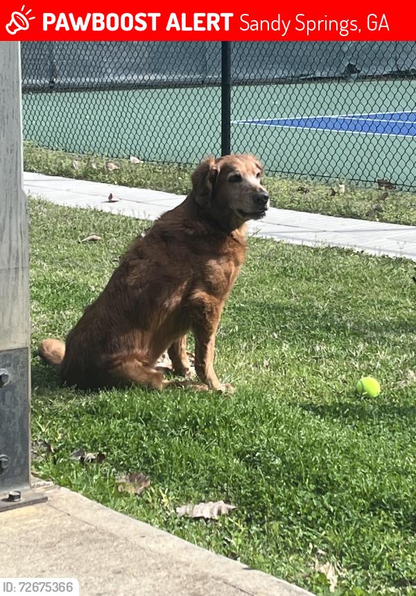 Lost Male Dog last seen Mount Vernon Woods clbh & Pool, Sandy Springs, GA 30328