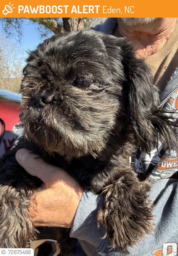 Found/Stray Female Dog last seen Rickman St, Eden, NC 27288