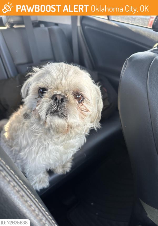 Found/Stray Male Dog last seen Walmart by I-240, Oklahoma City, OK 73149