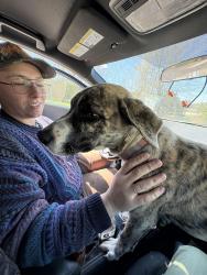 Found/Stray Female Dog last seen Near Hwy 92 Enoree, SC 29335 United States, Enoree, SC 29335