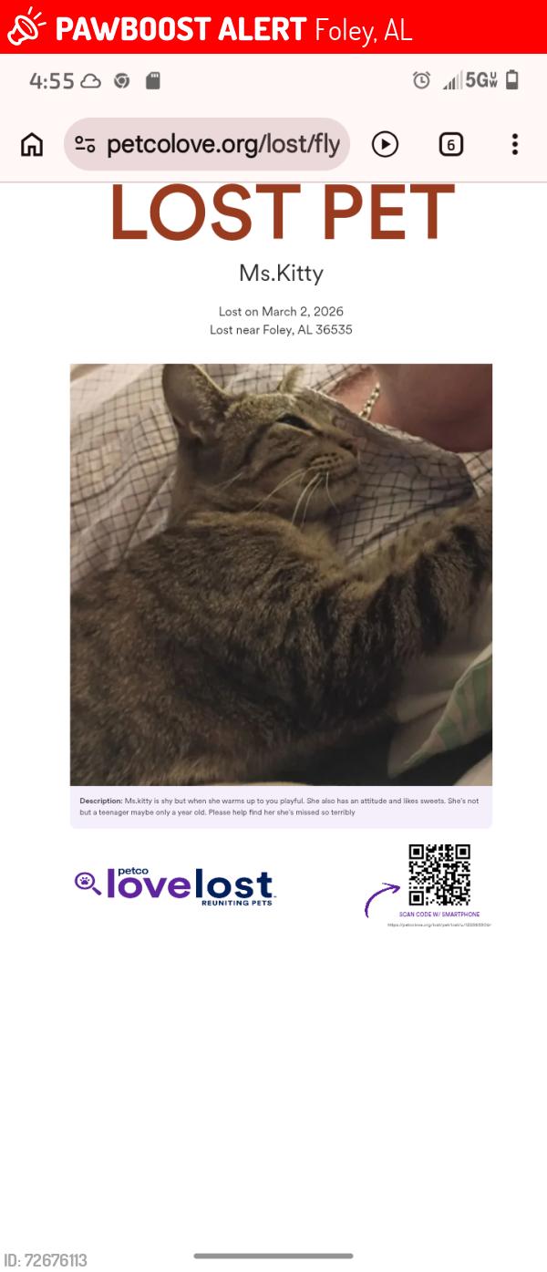 Lost Female Cat last seen Dolphin Mobile  park , Foley, AL 36535