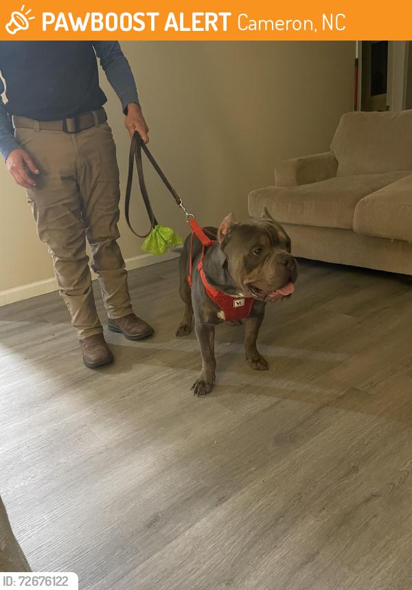 Found/Stray Male Dog last seen Line rd and 24/27, Cameron, NC 28326
