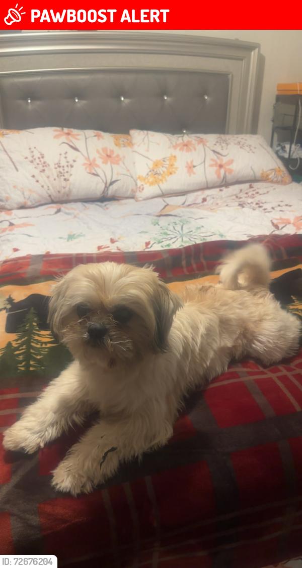 Lost Male Dog last seen Racine rd, , Randolph County, NC 27233