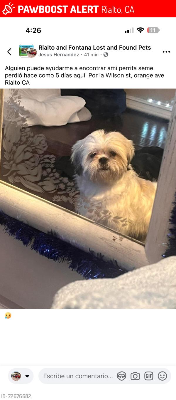 Lost Male Dog last seen Rialto CA, Rialto, CA 92376