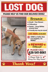 Lost Male Dog last seen Near la salle ave, Los Angeles, CA 90062