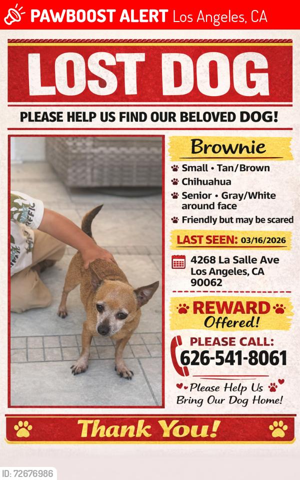 Lost Male Dog last seen Near la salle ave, Los Angeles, CA 90062