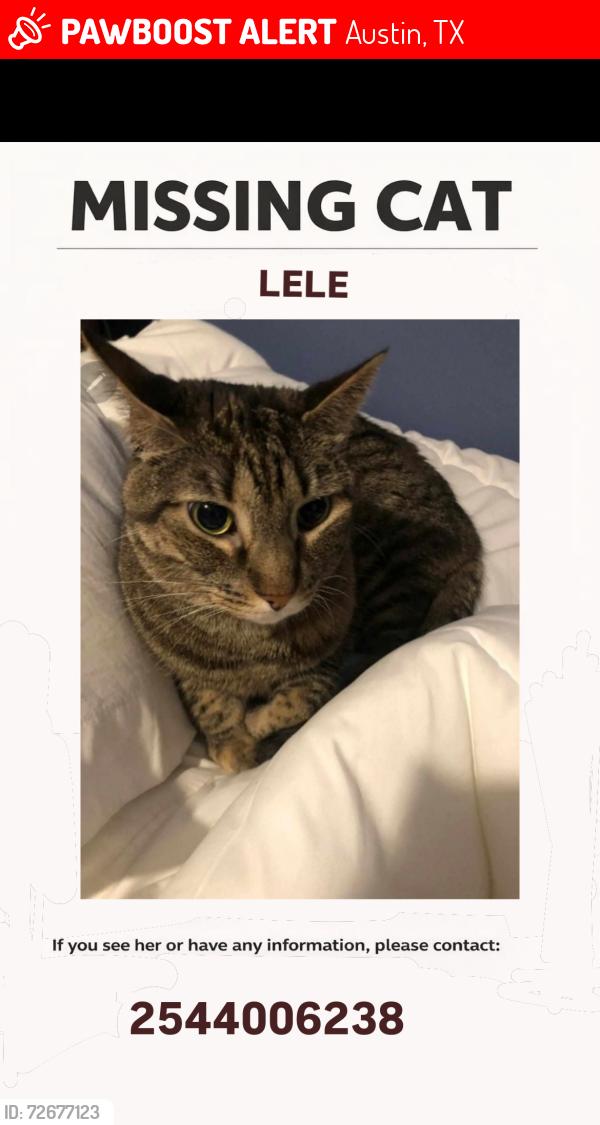 Lost Female Cat last seen Near Dessau Rd, Austin, TX 78754, Austin, TX 78753