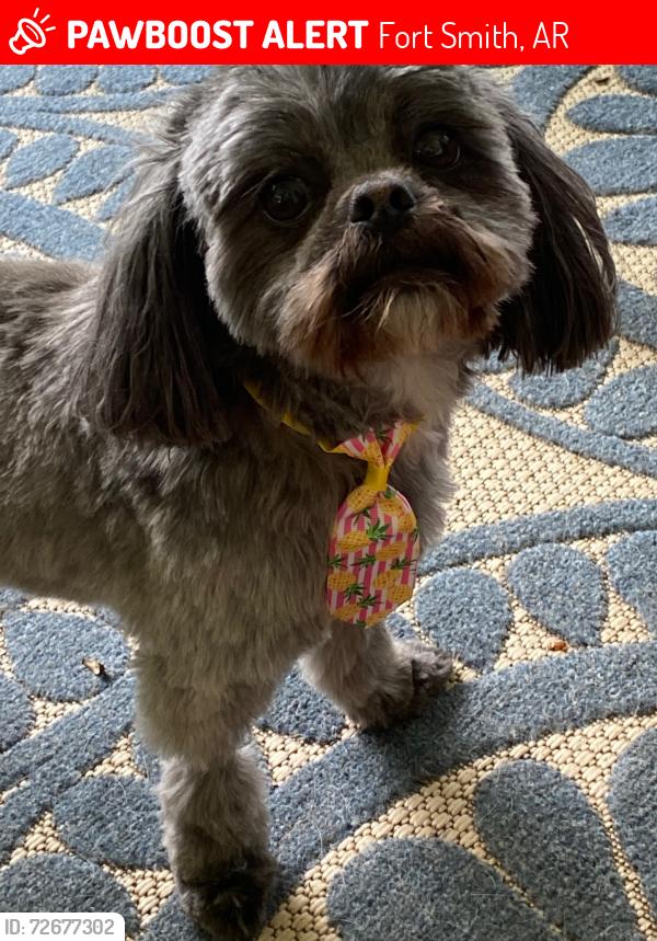 Lost Male Dog last seen skypark drive fort smith, Fort Smith, AR 72903