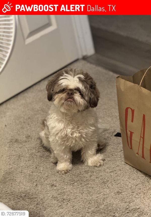 Lost Male Dog last seen Mountain Creek Pkwy, Dallas, TX 75249