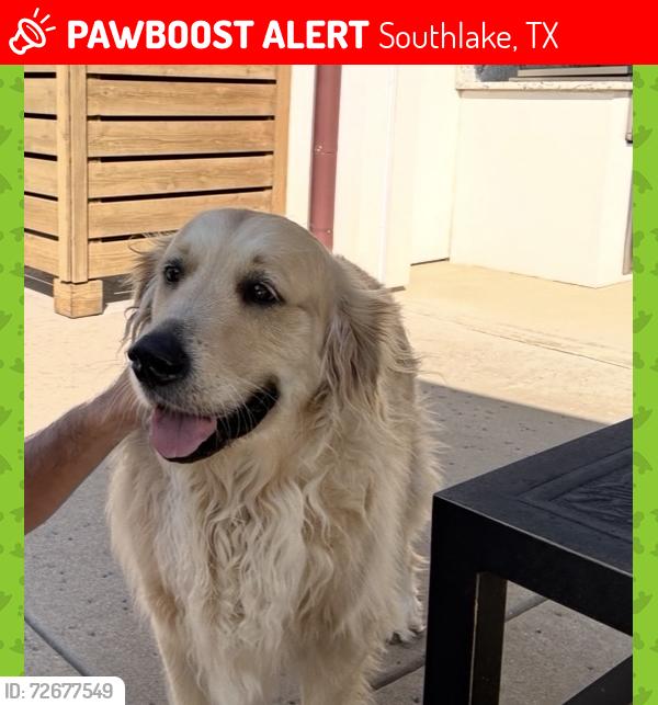 Lost Male Dog last seen Pyrenees, Southlake, TX 76092