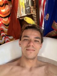 Lost Female Bird last seen Sheldon road , Tampa, FL 33625