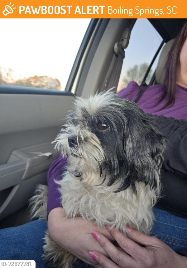 Found/Stray Male Dog last seen By the Ingles in boiling springs , Boiling Springs, SC 29316