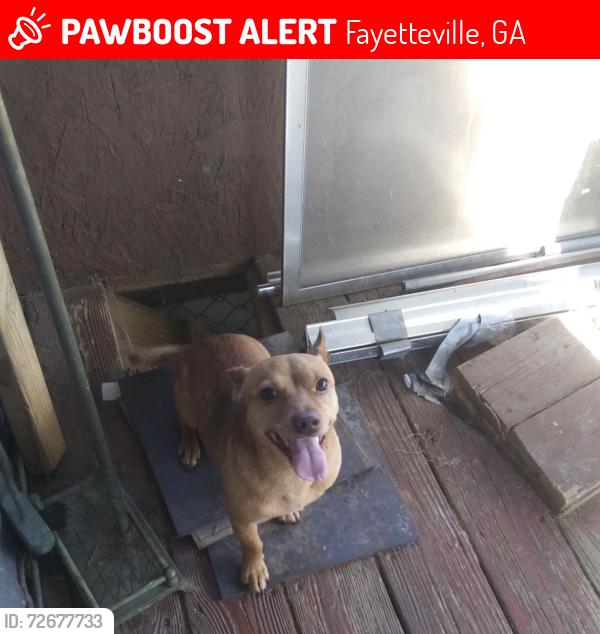 Lost Male Dog last seen Kenwood Landing, Fayetteville, GA 30214