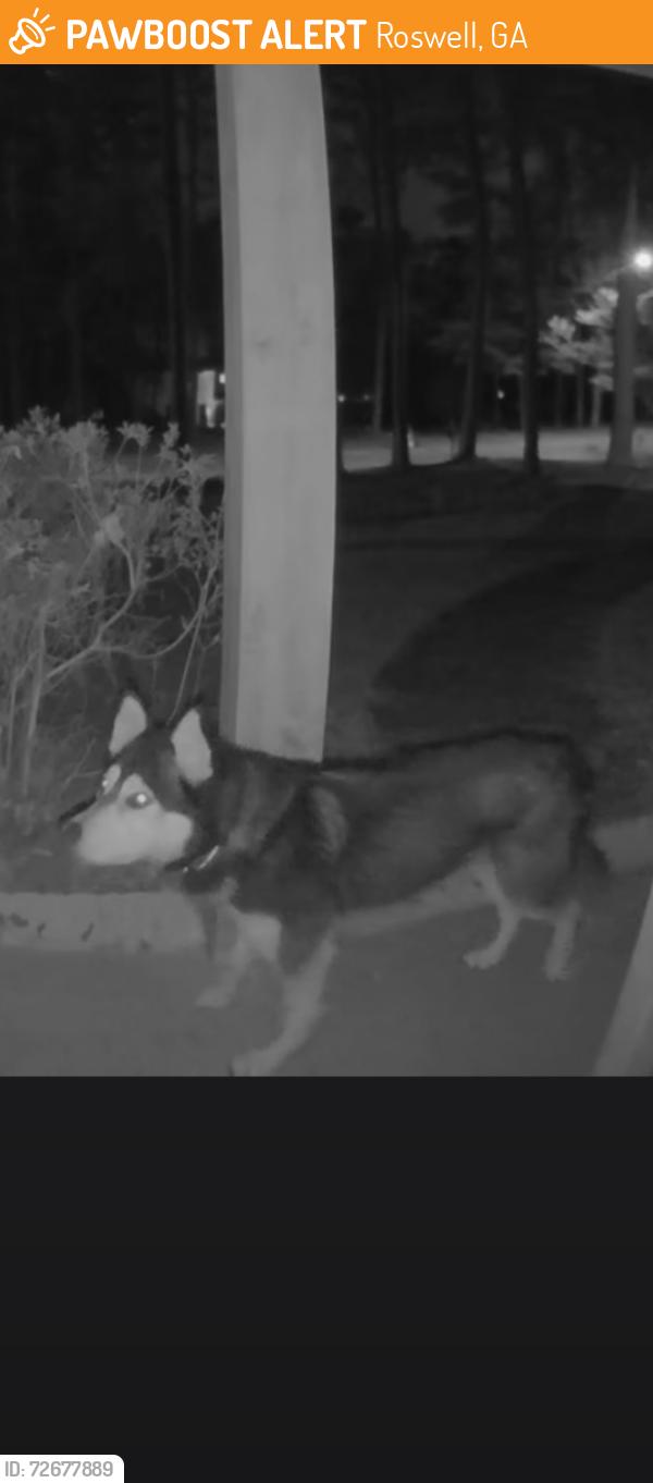 Found/Stray Unknown Dog last seen Crabapple rd & Houze Way, Roswell, GA 30075
