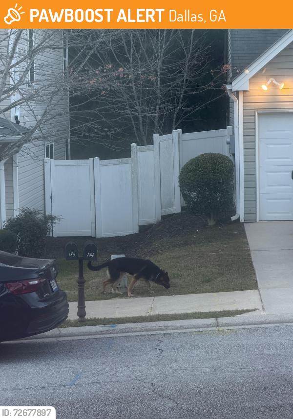Found/Stray Male Dog last seen substation 4 way stop., Dallas, GA 30157