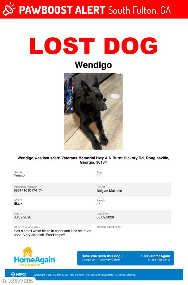 Lost Female Dog last seen We were told she was spotted in Fairburn Ga but no other details , South Fulton, GA 30213