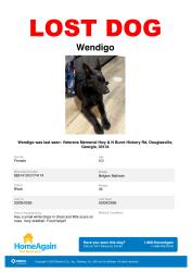Lost Female Dog last seen We were told she was spotted in Fairburn Ga but no other details , South Fulton, GA 30213